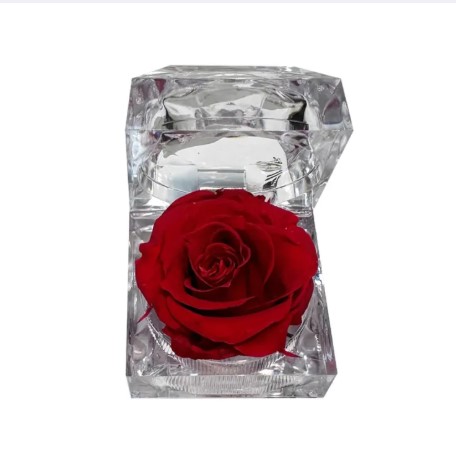 Preserved Rose